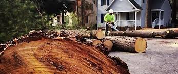 Landscape Design and Installation in Darlington, SC